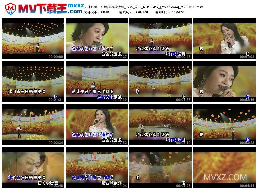 金婷婷-风吹麦浪_国语_流行_MD105417